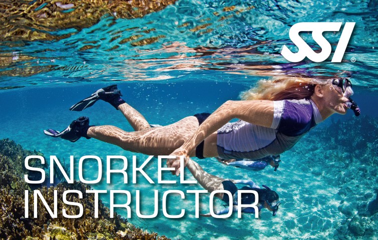 SSI Snorkel Instructor card