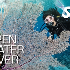 SSI Open Water Diver card