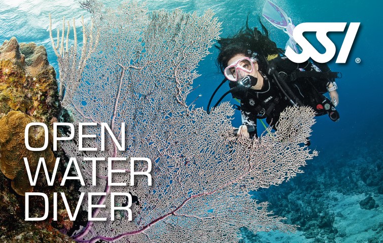 SSI Open Water Diver card