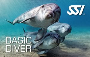 SSI Basic Diver card