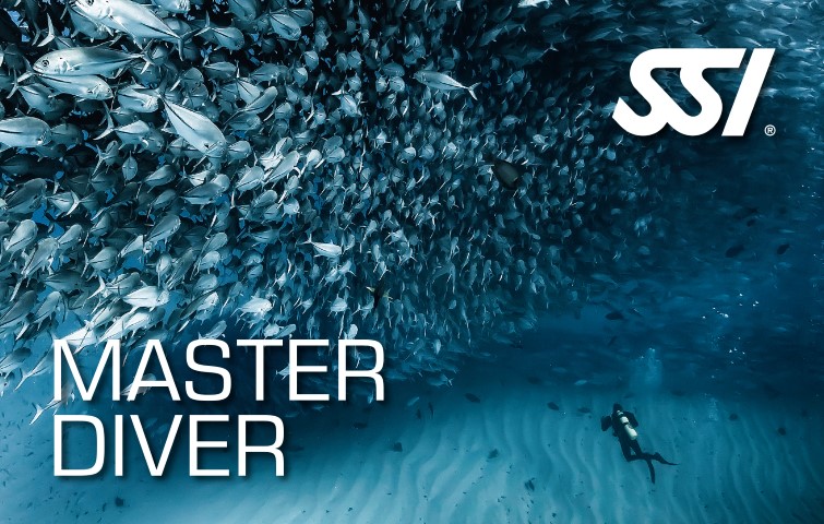 SSI Master Diver card