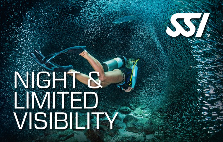 SSI NIGHT & LIMITED VISIBILITY card