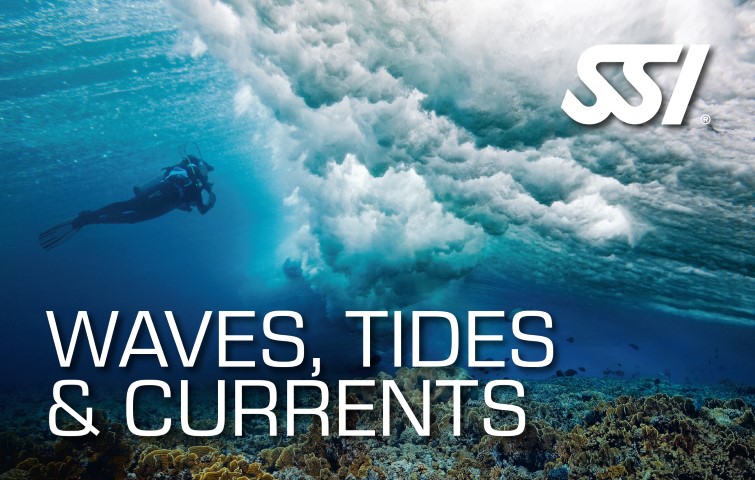 SSI WAVES, TIDES & CURRENTS card