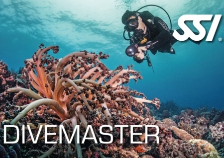 SSI Divemaster Card