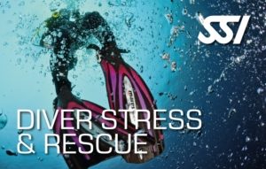 SSI DIVER STRESS & RESCUE card
