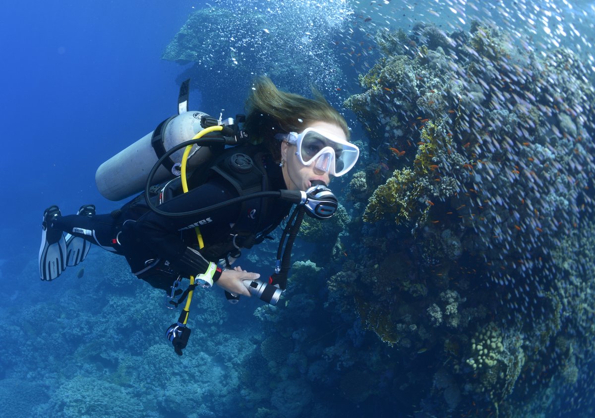 female diver with glasfishes
