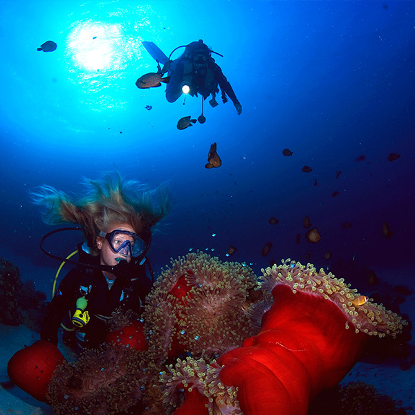 female diver with anomens in the front and a diver in the background
